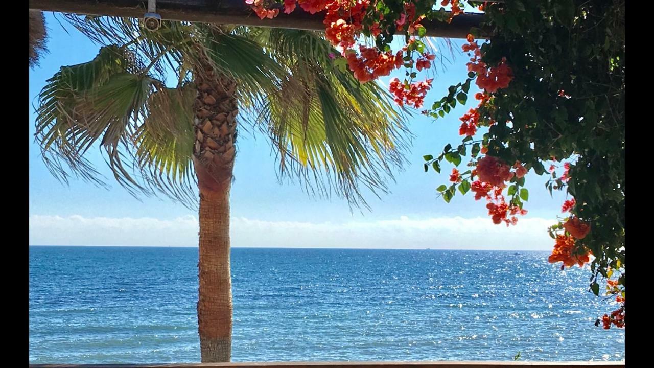 Mi Capricho Beachfront- 9E Apartment With Sea Views - Costa Del Sol Sitio de Calahonda 外观 照片